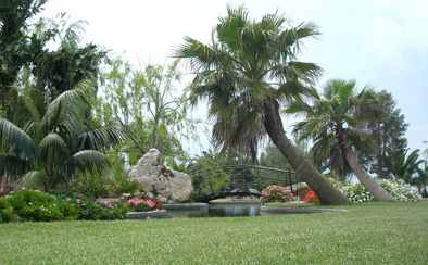 Jardín Botanic Cullera