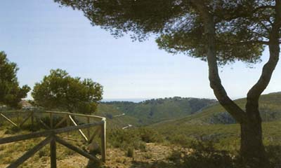 Parque Forestal La Granadella