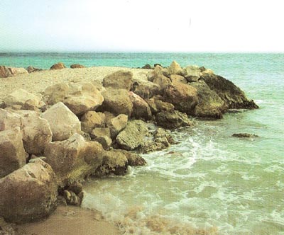 Playa Rafalcaid